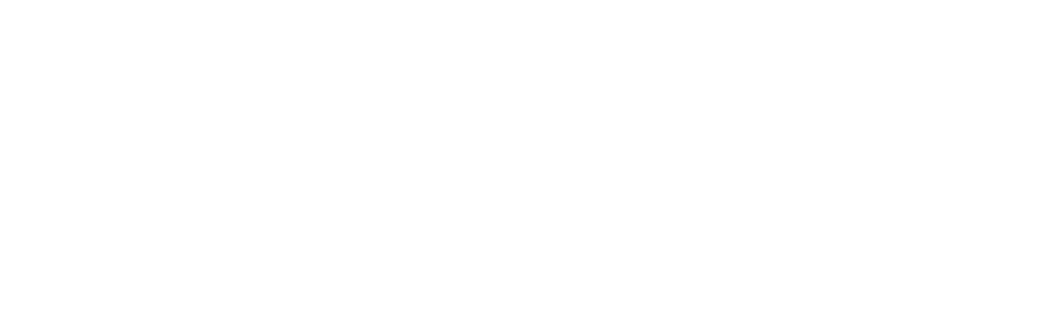 Interlogiko srl